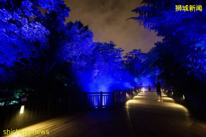 新加坡動物園沉浸式多媒體夜行體驗“RAINFOREST LUMINA”|CAAPA周末分享!