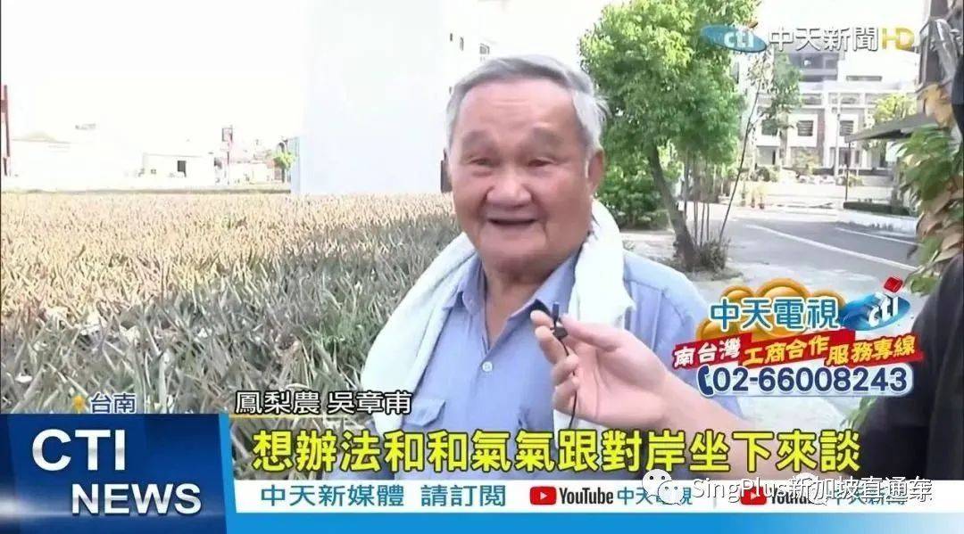 台湾凤梨被大陆禁止！新加坡台商出手进口25万吨！有救了
