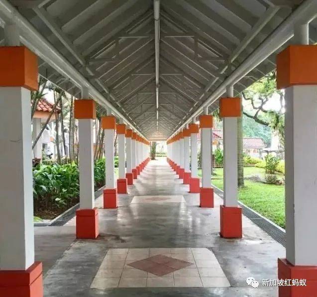 狮城最贴心的一道风景:无处不在的有盖走廊