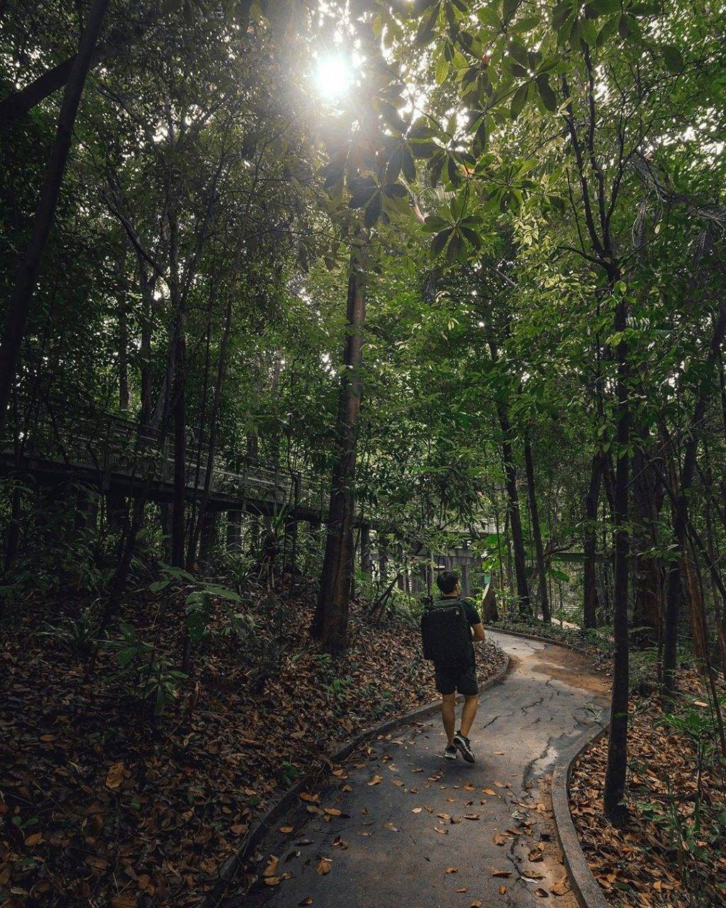 新開辟徒步路線！聖淘沙後花園“Imbiah Trail”沿路亮點🍃 回歸自然，尋覓古迹