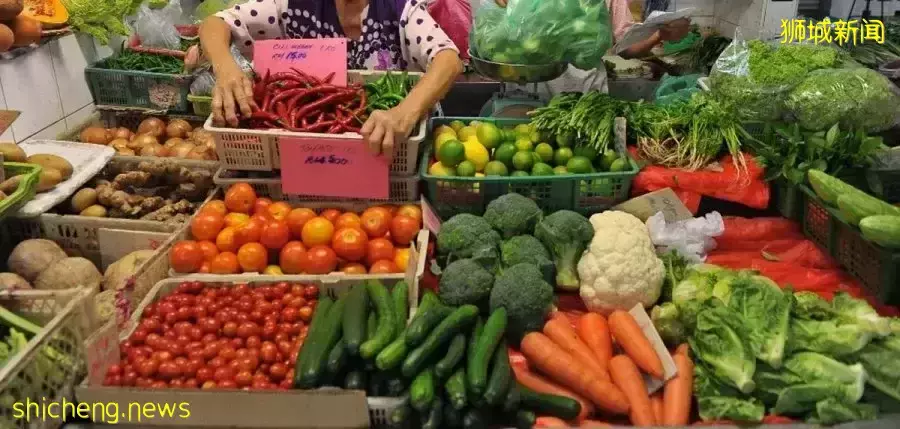 新加坡蔬菜價格暴漲！大馬首例奧密克戎患者，來過坡