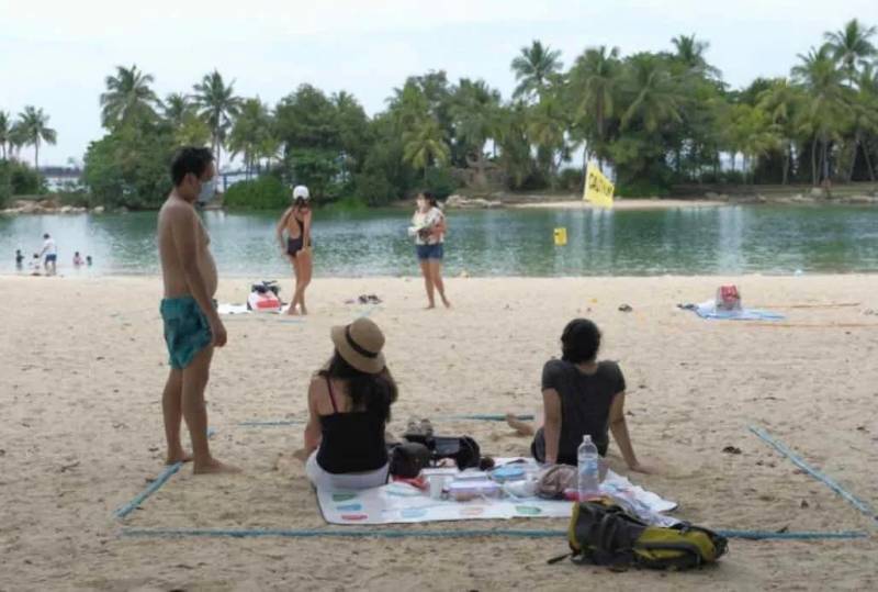 有毒水母泛濫新加坡海灘！聖淘沙禁止遊泳，巴西立海邊也有