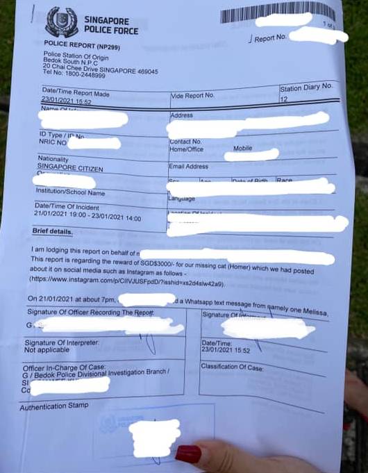 落井下石!新加坡一家庭在丟失愛貓後又被詐騙300新元