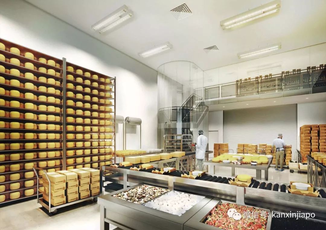 在新加坡投资炒房，不如买厂房