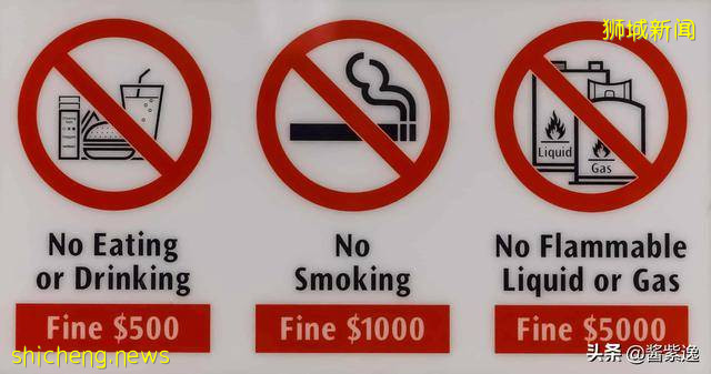 新加坡冷知識:出現首位女總統,海南雞飯是國菜