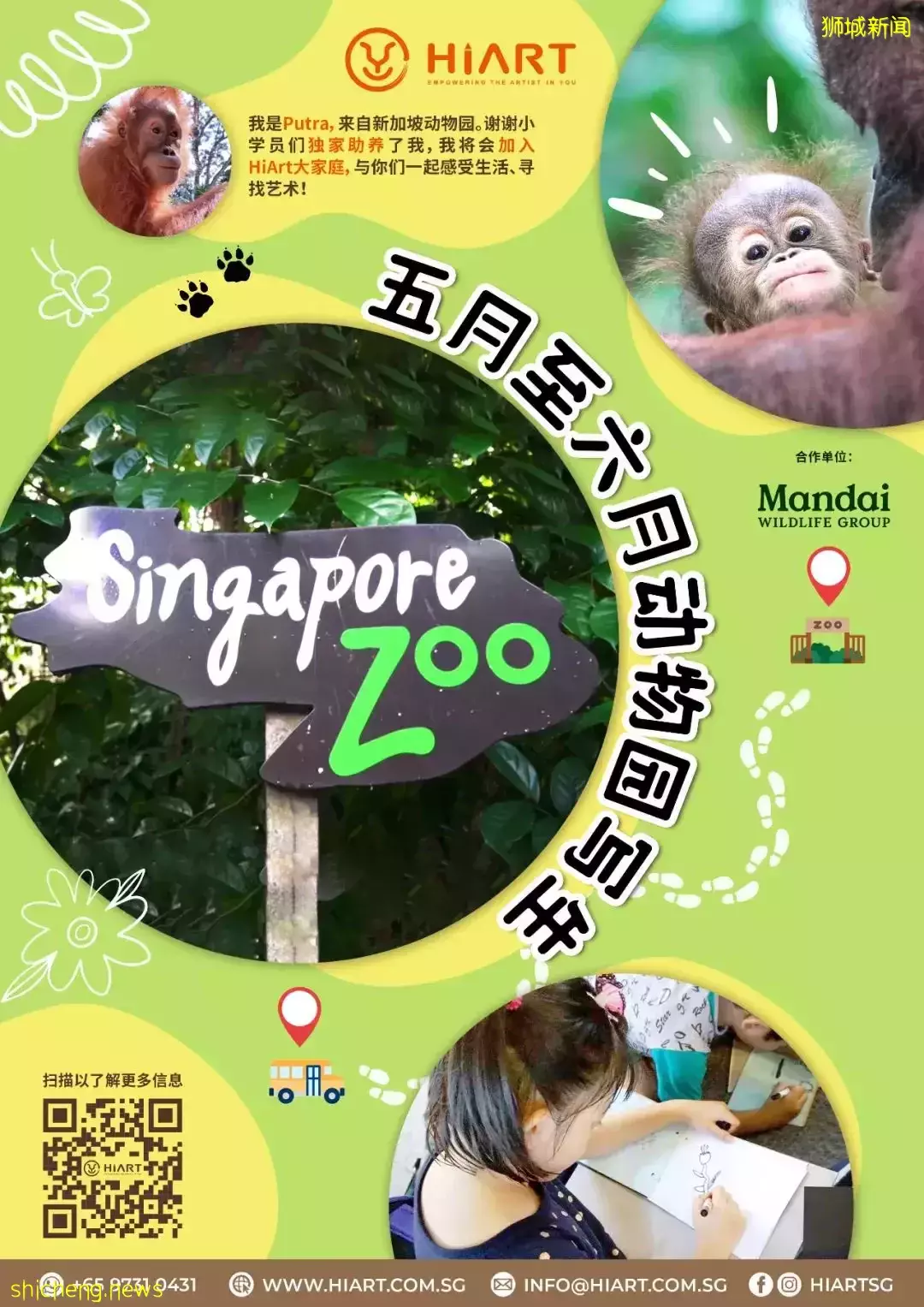 一直被問6月假期營！38個熱門：野炊、繪畫、圍棋、蹦床、編程、魔方、財商都有