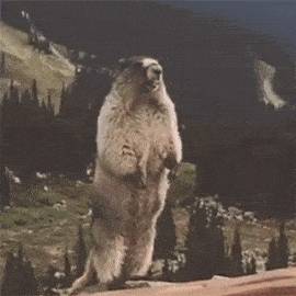 新加坡警察局脸书发声寻“女贼”，结果...网友倒戈：愿意给她付款