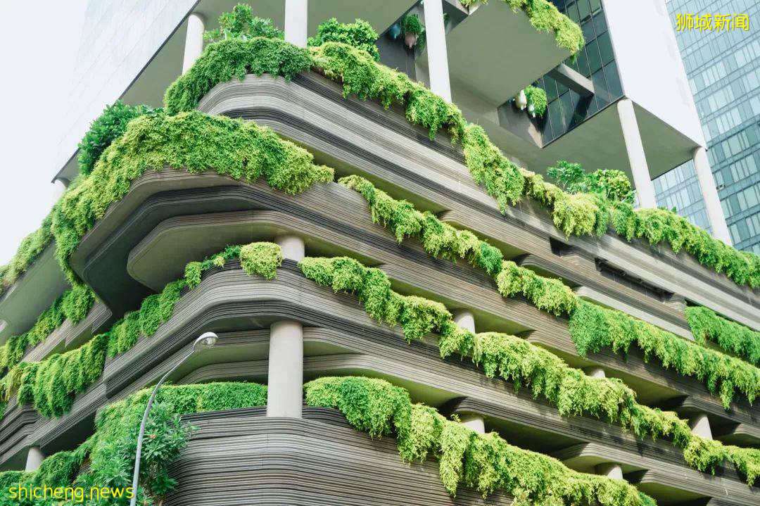 云游 总有一个理由打卡新加坡