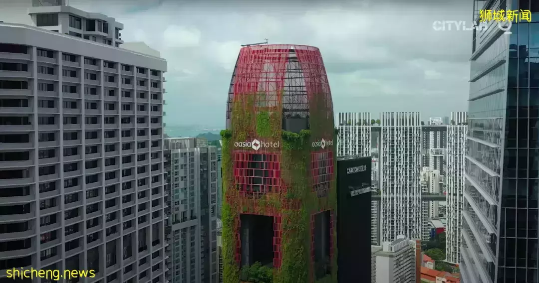 天氣太熱，新加坡開展“冷卻新加坡計劃”