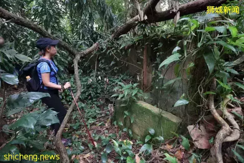 意外！新加坡單親媽媽徒步身亡，遠足需要注意這些