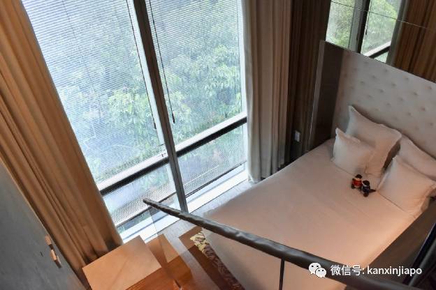 一群水獭惊现新加坡酒店,带娃带情侣开启超萌宅度假