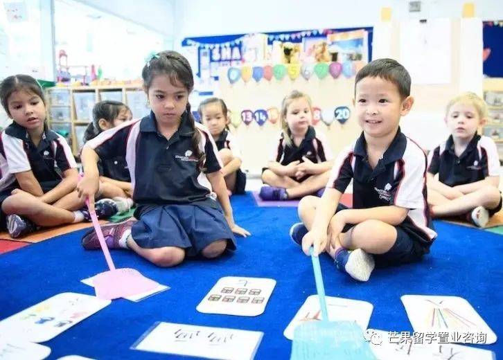 “明星國際學校”——新加坡史丹福美國國際學校