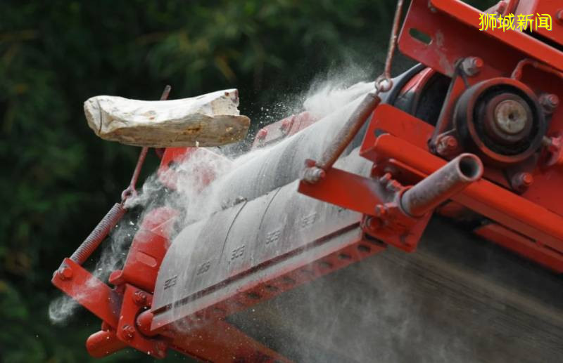 好樣的！新加坡銷毀9噸象牙，世界規模最大，全球直播