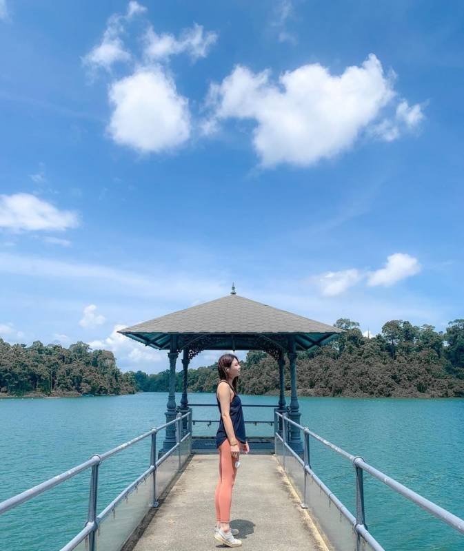 新加坡“麥裏芝蓄水池 MacRitchie Reservoir”深度遊！自然仙境、徒步指南、周邊活動逐個看