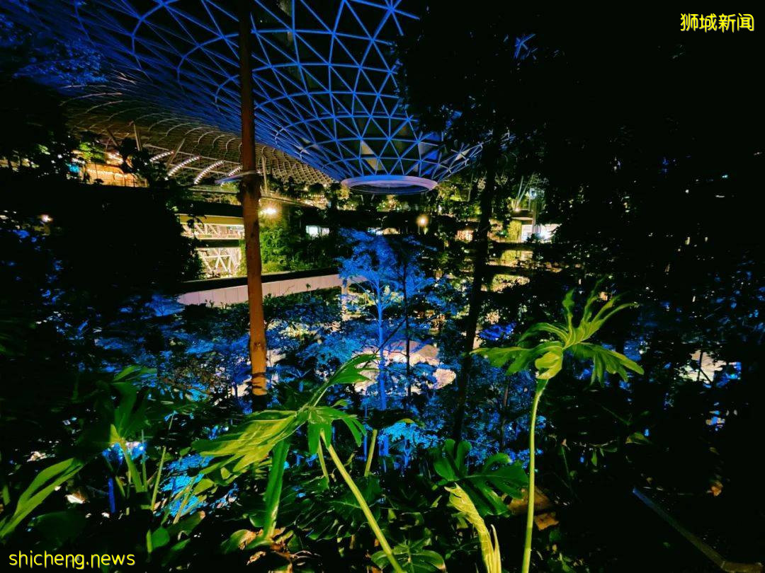 免費送票！$58就能露營機場，兩天一夜住帳篷，快搶