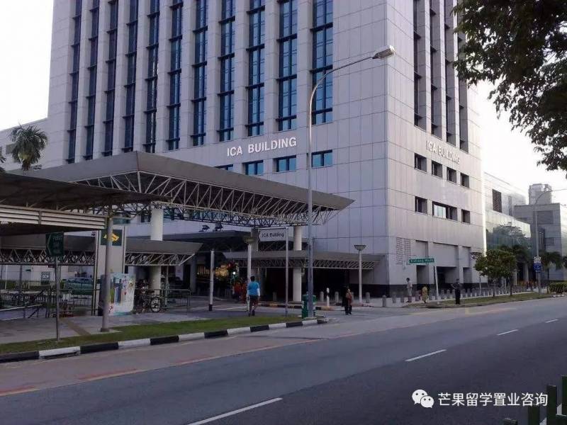 新加坡都有哪些准证