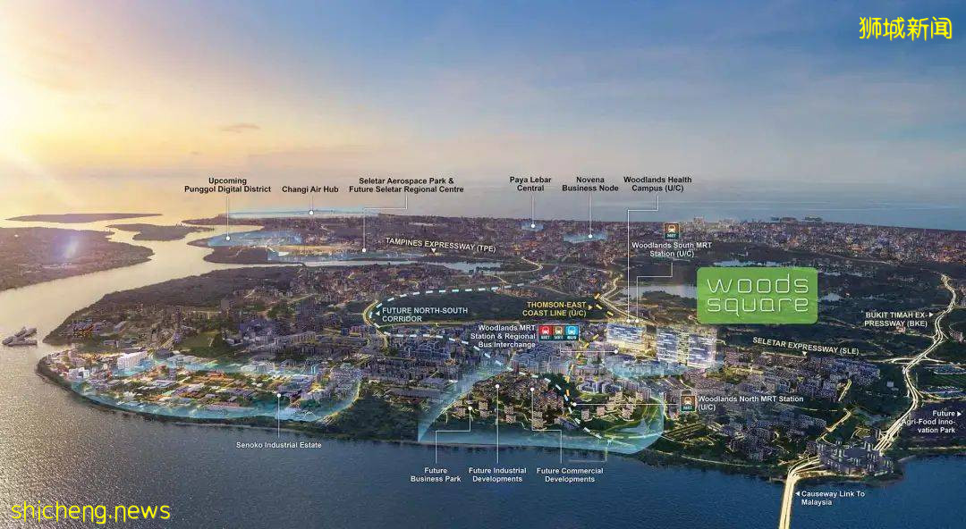 工業園“變身”創新農業園，這個10年戰略藏著新加坡的發展新機遇