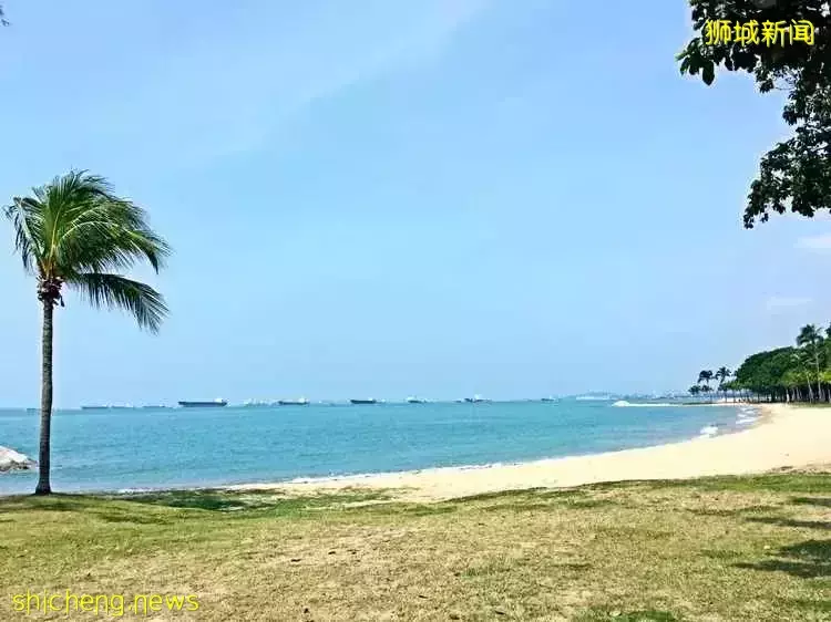 19岁新加坡理工生竟在家自制爆炸物带到公园引爆，还广而告之