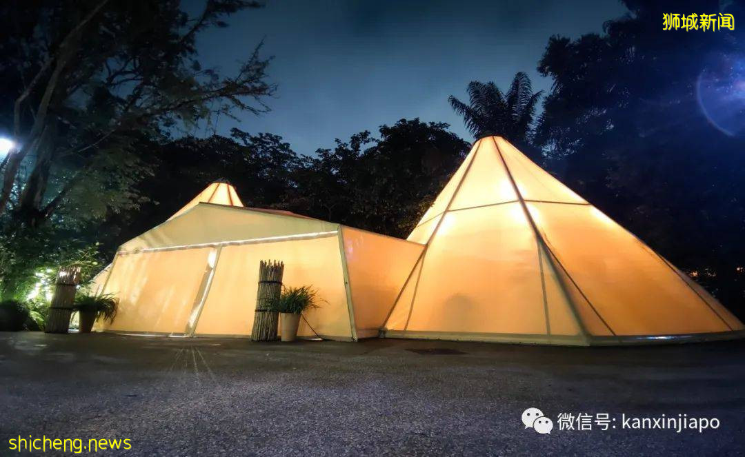 小米新加坡牵手Night Safari动物园网红大象,温情满满