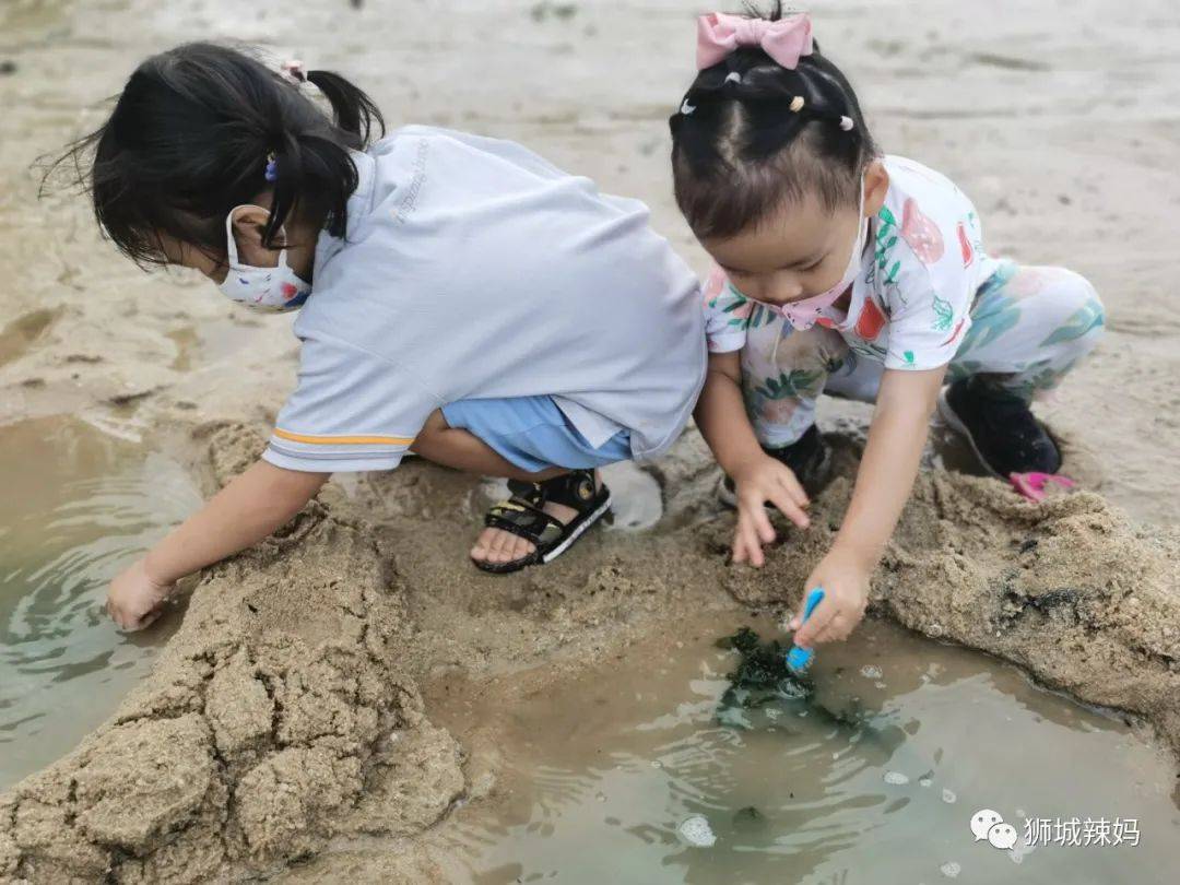 新加坡最好玩的海灘公園!趕海、騎馬、劃艇、樹籬迷宮、燒烤露營,超適合家庭出遊