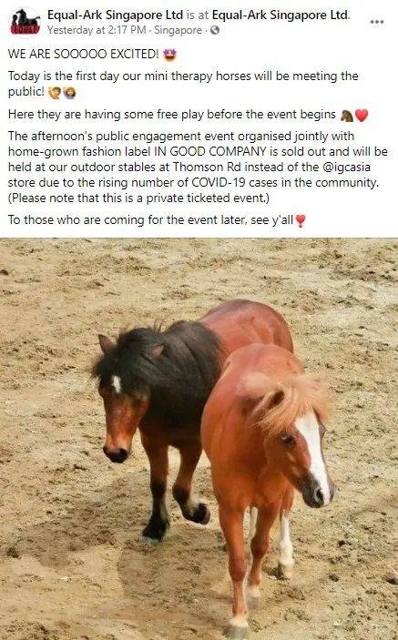 迷你矮脚马闪现爱雍·乌节,为公益活动助力