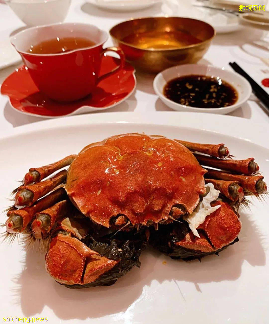 回歸兩人堂食的日子,請收好這份2021《新加坡米其林指南》新晉餐廳最終集