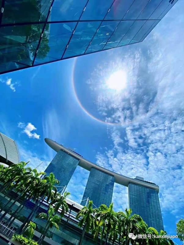 朋友圈刷屏!日晕奇景你们拍到了吗?