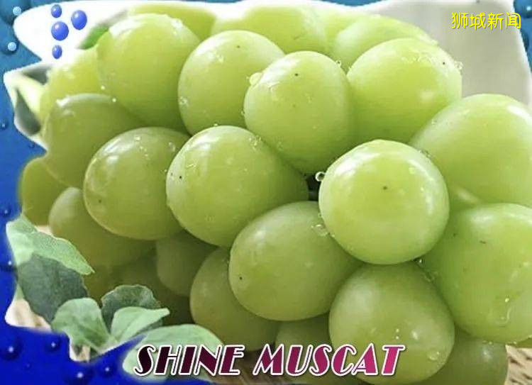 試吃都可以跨境連線了,還有什麽是疫情改變不了的