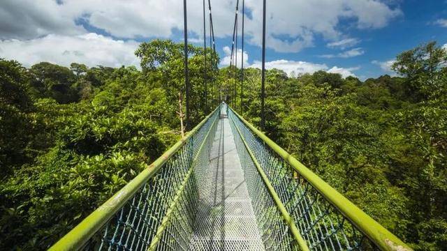 新加坡10个最美公园告诉你,花园城市有多美