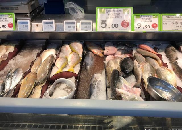 新加坡自由行(六)