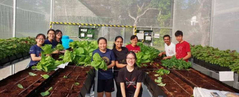 學校開設生活技能課程?教大家室內設計、商業管理和做飯