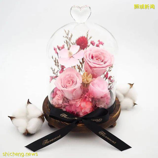 超劃算鮮花網購店合集!低至10新,全島免費送,1日內到付