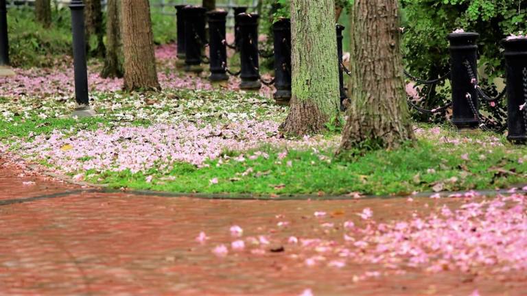 李顯龍總理發了一個帖子，評論區瞬間被淹沒