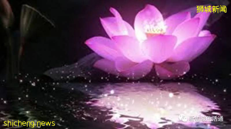 江蘇啓東男子在新加坡患新冠去世 同鄉相助其家人