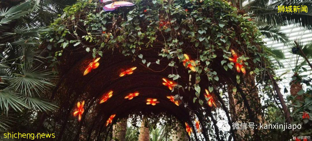 新加坡親子好去處！濱海灣～花穹～雲霧森林～空中步道半日遊