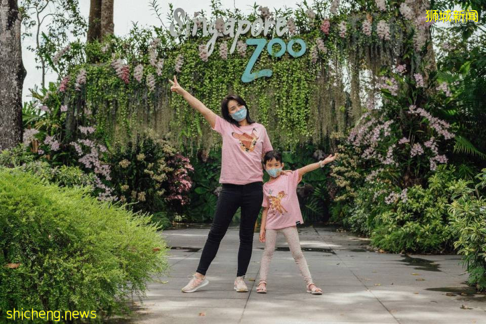 僅2天！新加坡動物園最牛的餵動物之旅，8折！還有幻光雨林和4大園5.5折起，搶啦