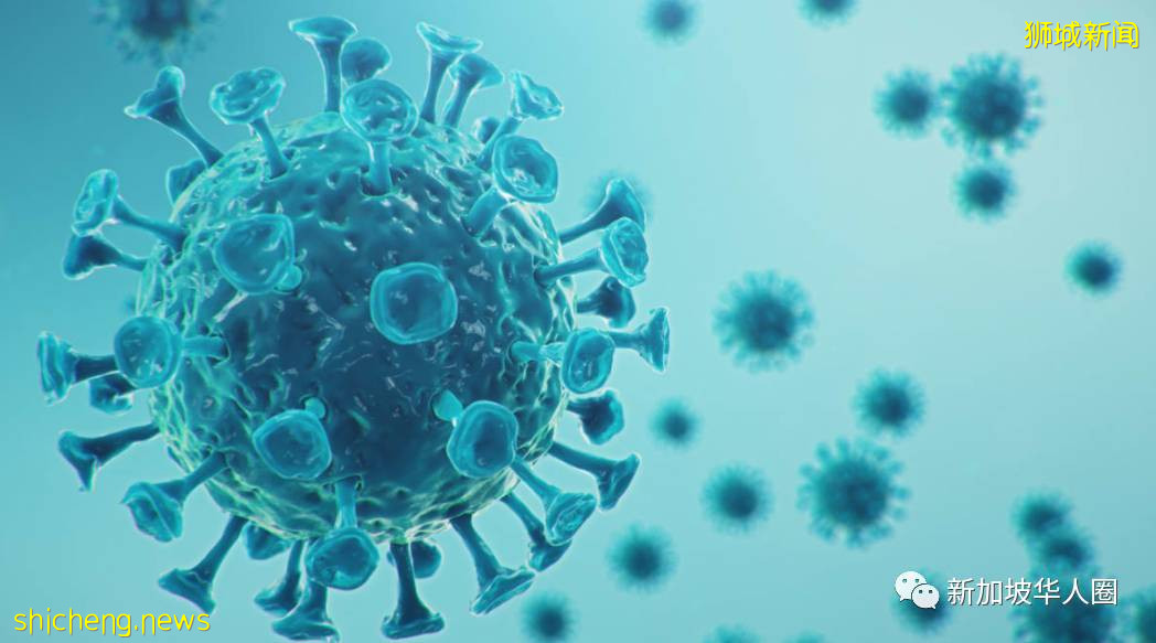 新加坡多个废水中验出新冠病毒碎片！将扩大110个地点采样检测
