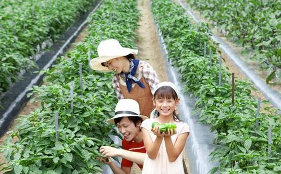 新加坡有这么多适合遛娃的农场,你竟然还不知道