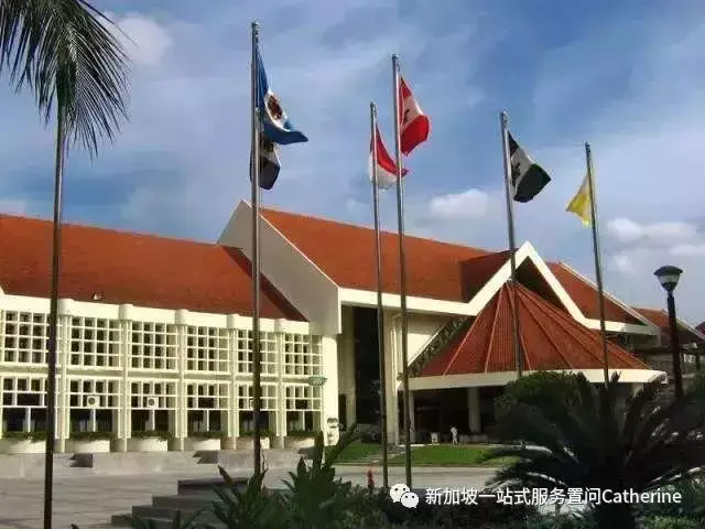 初級學院線上開放日來襲O水准之後怎樣報讀?最全介紹看過來