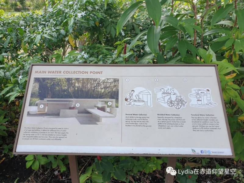 新加坡也有溫泉 三巴旺溫泉公園