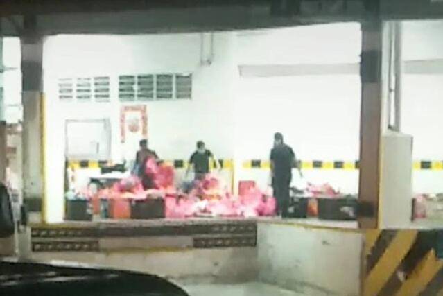 新加坡销毁1.5公吨走私蔬菜，网友：分给低收入人群不香吗