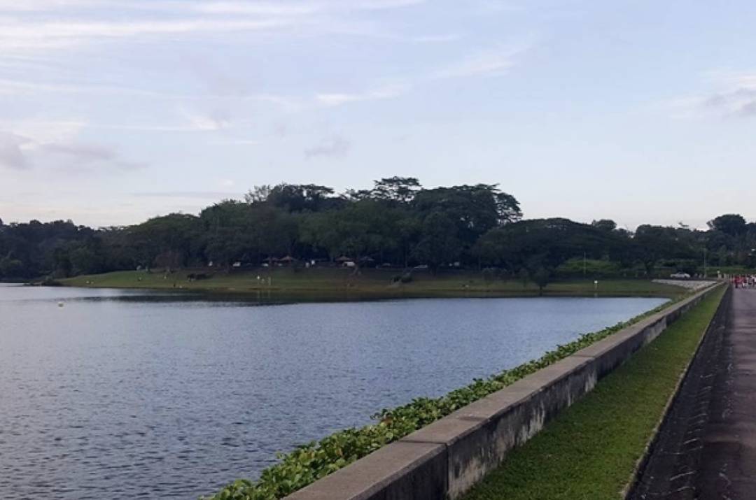 新加坡最美10个蓄水池公园,人少、闺蜜野餐遛娃拍照