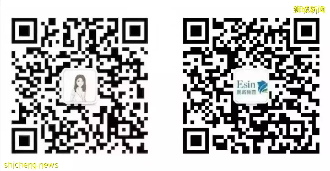 来新加坡设立家族办公室 辐射东南亚 中国富豪瞄准区域科技起步公司