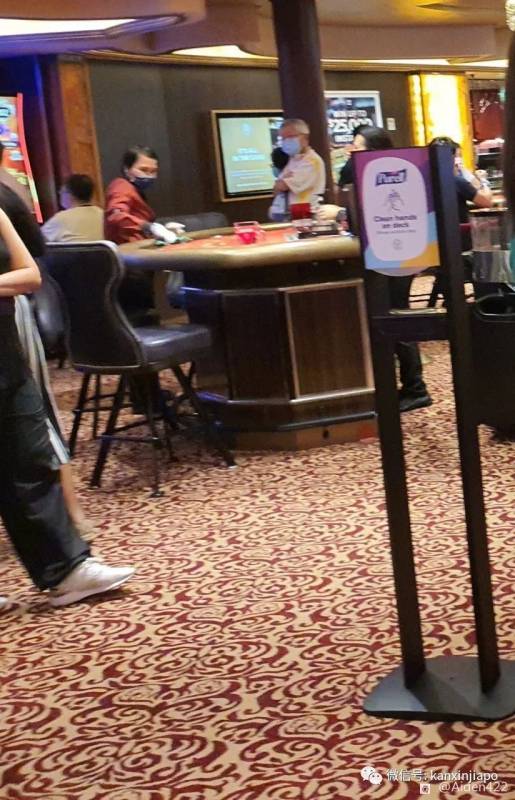 檢測陰性也無法登遊輪,這份職業曝心酸