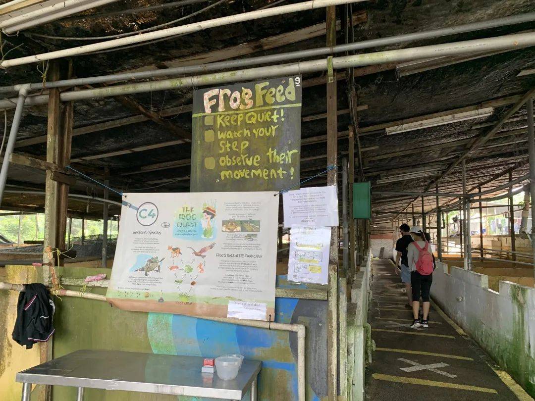 可使用【重新探索新加坡消費券】牧羊場、青蛙農場、雙溪布洛帶你走透透