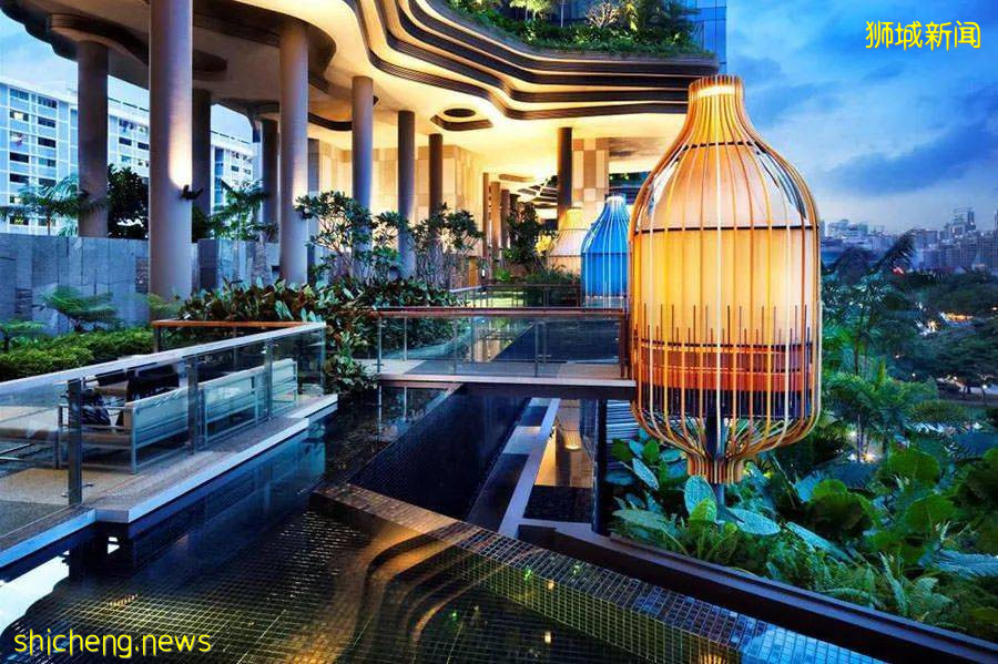 新加坡是什么味的?带你了解属于新加坡的气味