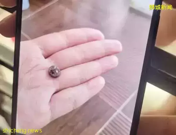 组屋神秘客恶搞 小铁球射9户窗