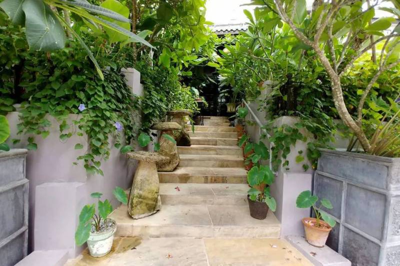 獅城美味 隱秘的角落——暗藏玄機的美味