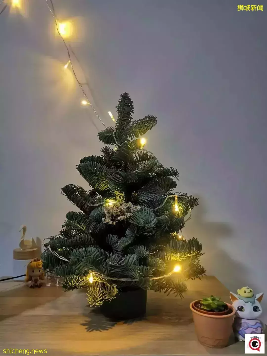 乌节路圣诞装饰实拍!全新加坡2021年最美圣诞树即将揭晓