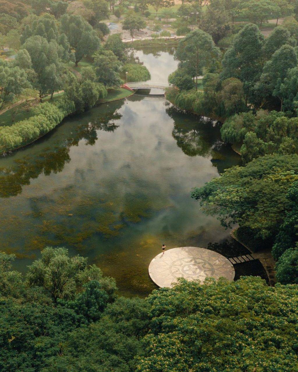 打卡新发现👉碧山宏茂桥公园📍自然景观+莲花池塘+湖畔舞台,遛狗散步不忘拍拍照💕